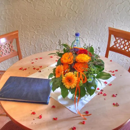 Hotel Vogel Hotel & Appartements Rostock